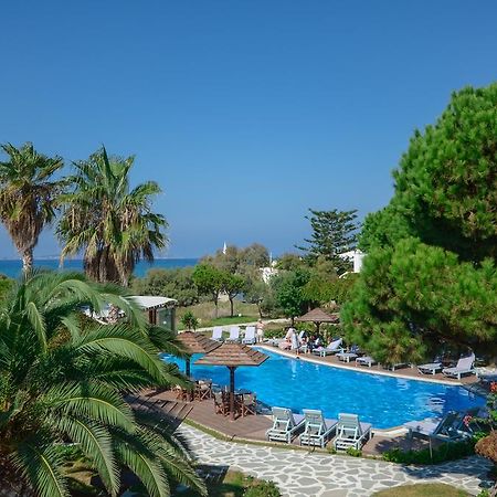 Alkyoni Beach Hotel Naxos City Luaran gambar