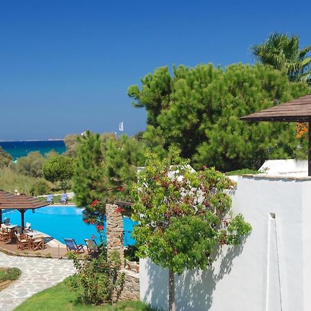 Alkyoni Beach Hotel Naxos City Luaran gambar