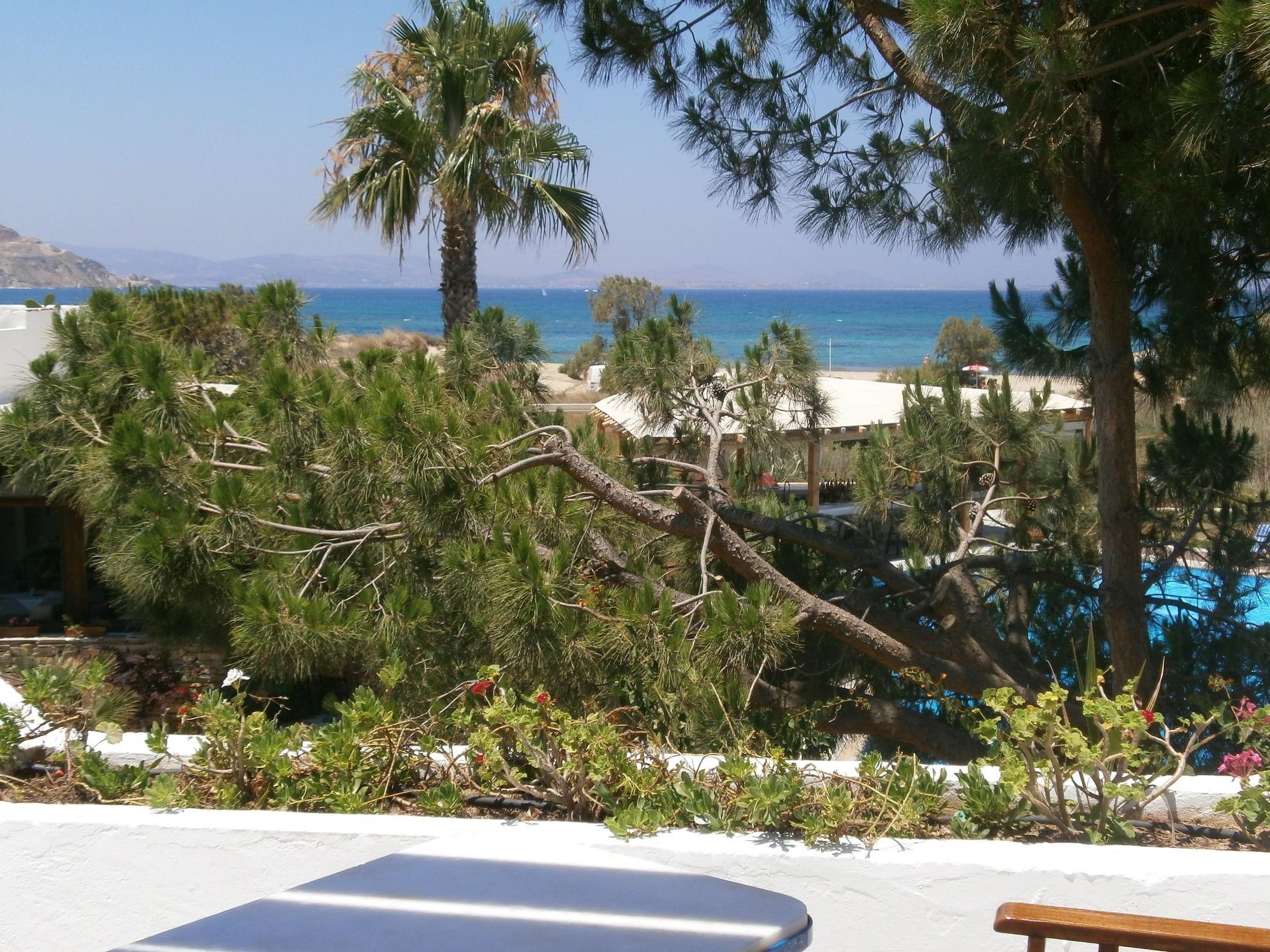 Alkyoni Beach Hotel Naxos City Luaran gambar